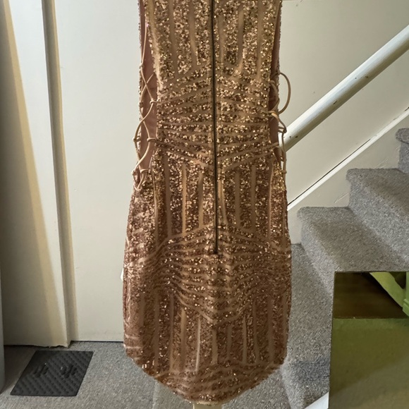 Pink and Gold Sequin Embellished Sheath Dress - Picture 2 of 4